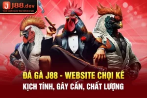 Đá Gà sun pazuru - Website Chọi Kê Kịch Tính, Gây Cấn, Chất Lượng